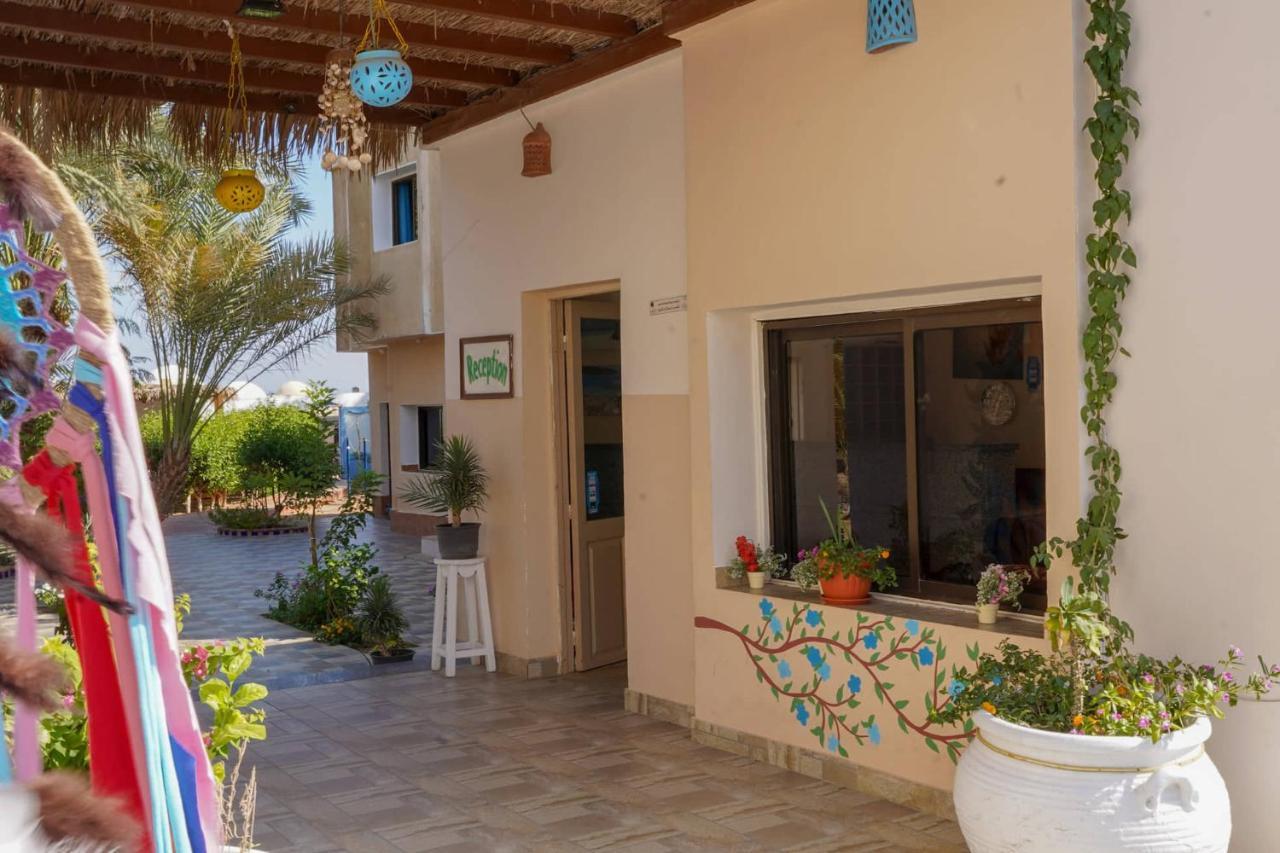 Miramar Camp Dahab Hotel Buitenkant foto