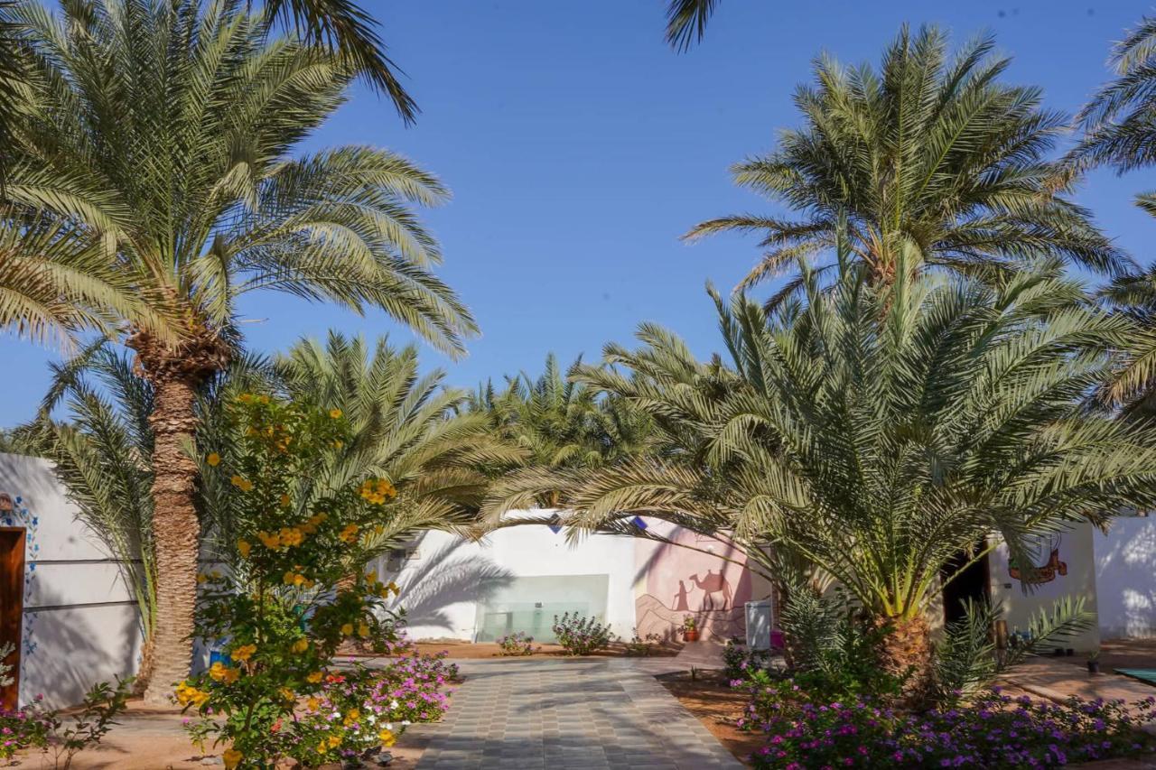 Miramar Camp Dahab Hotel Buitenkant foto