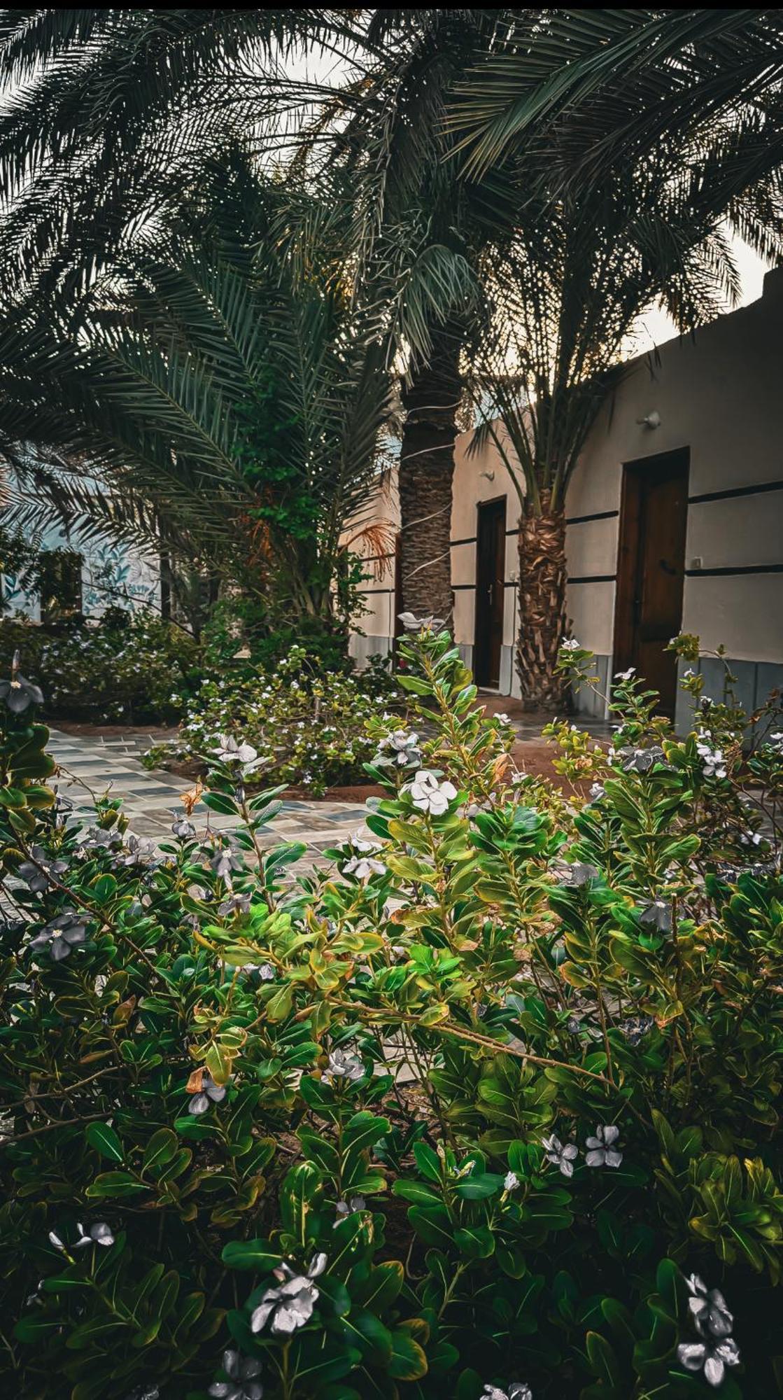 Miramar Camp Dahab Hotel Buitenkant foto