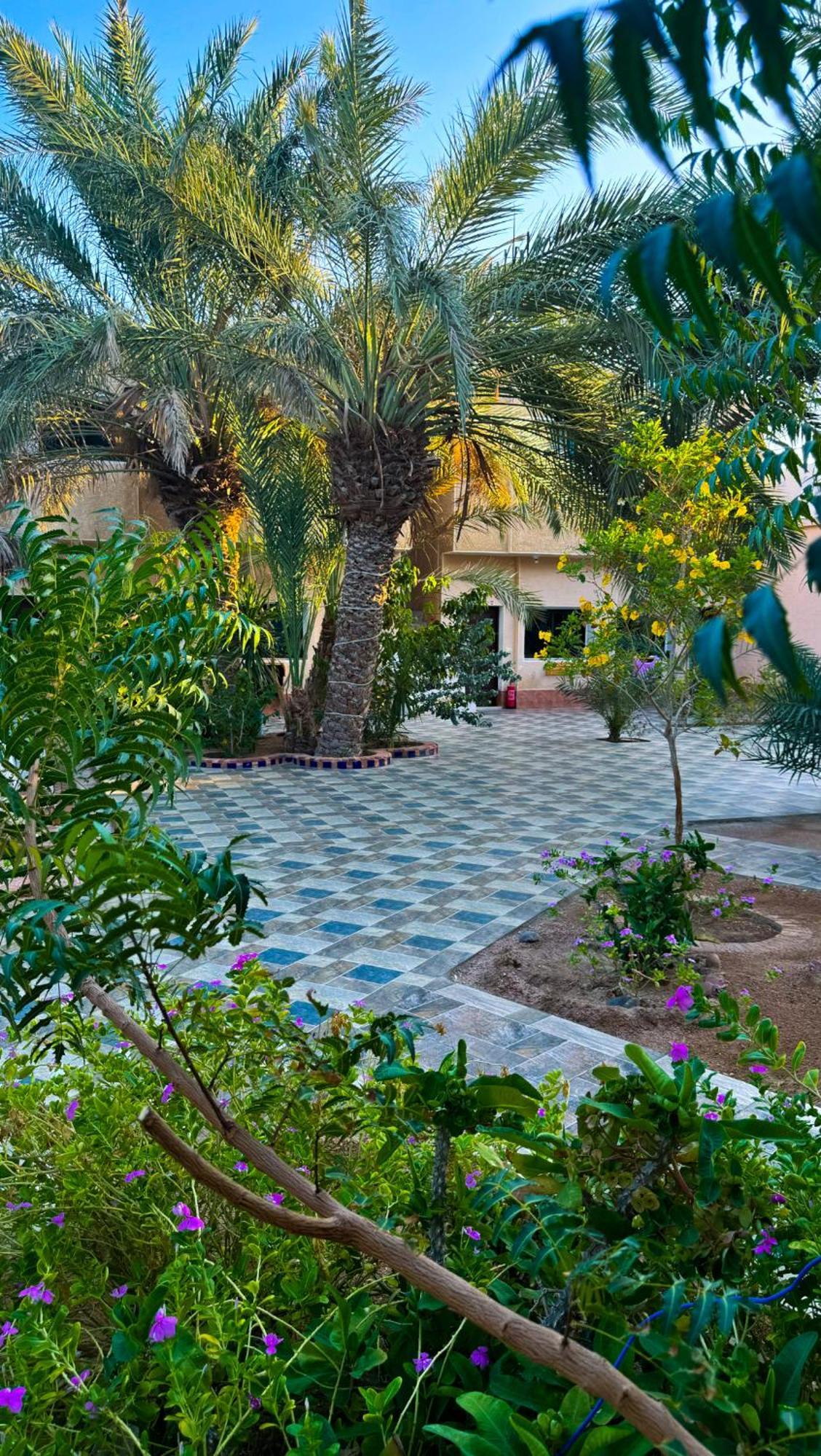 Miramar Camp Dahab Hotel Buitenkant foto