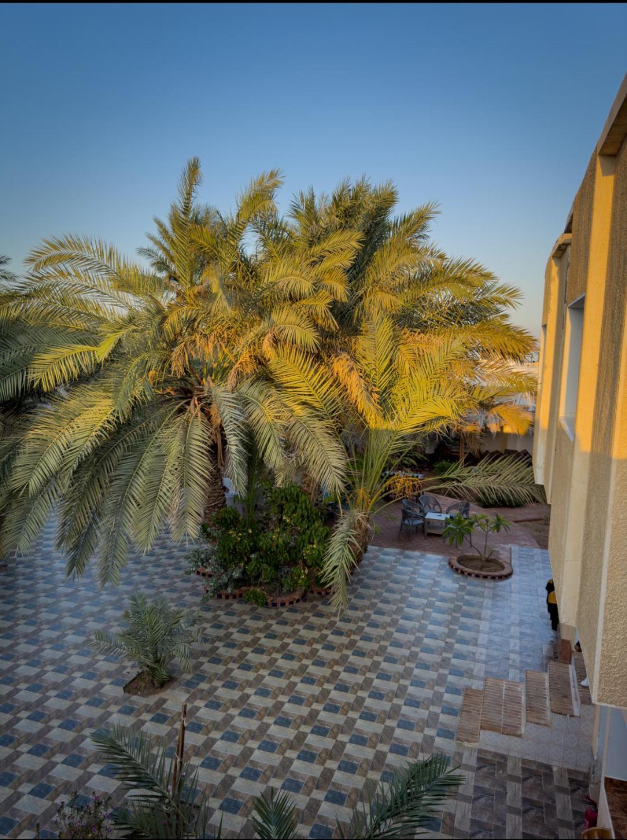 Miramar Camp Dahab Hotel Buitenkant foto