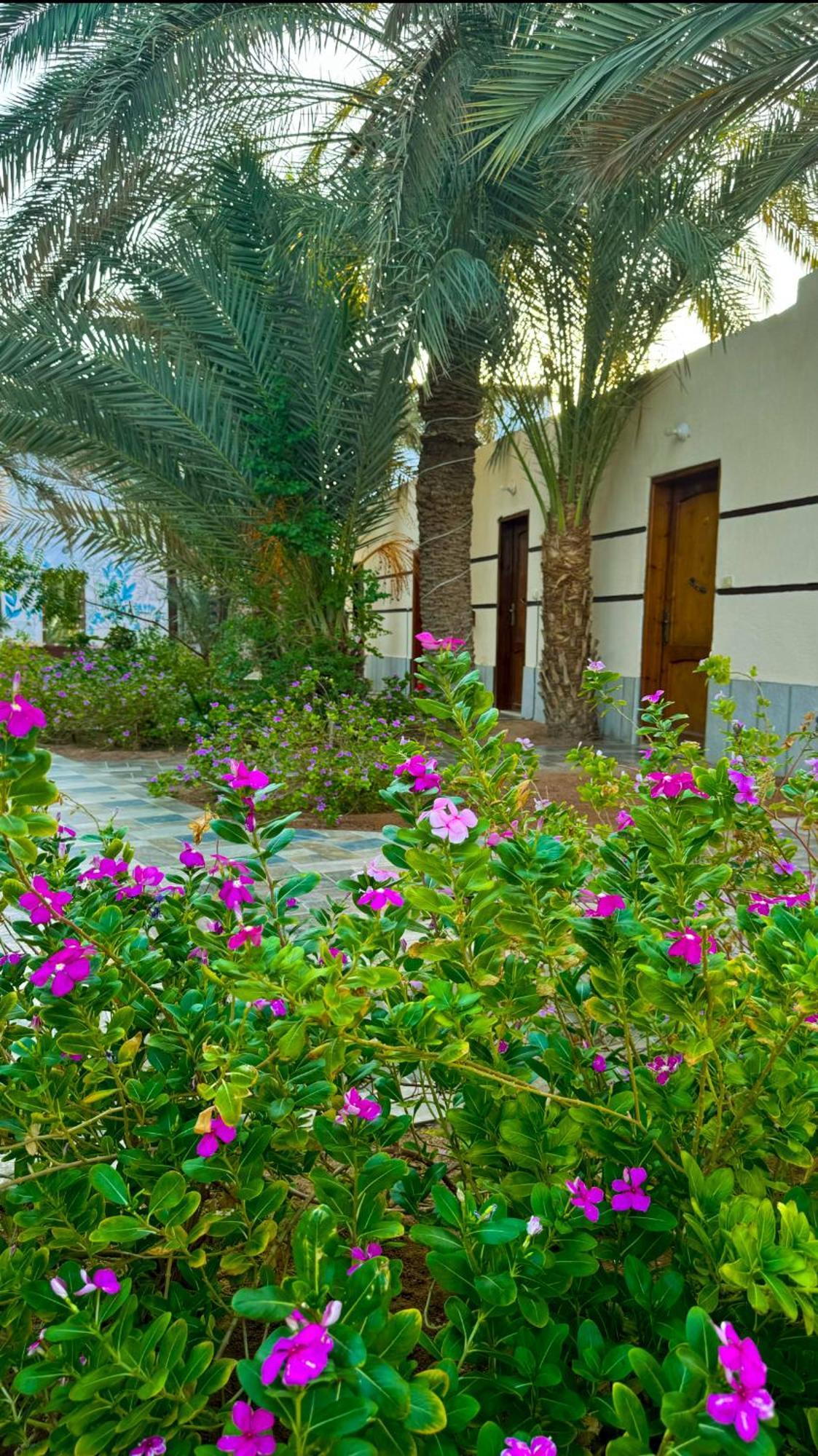 Miramar Camp Dahab Hotel Buitenkant foto