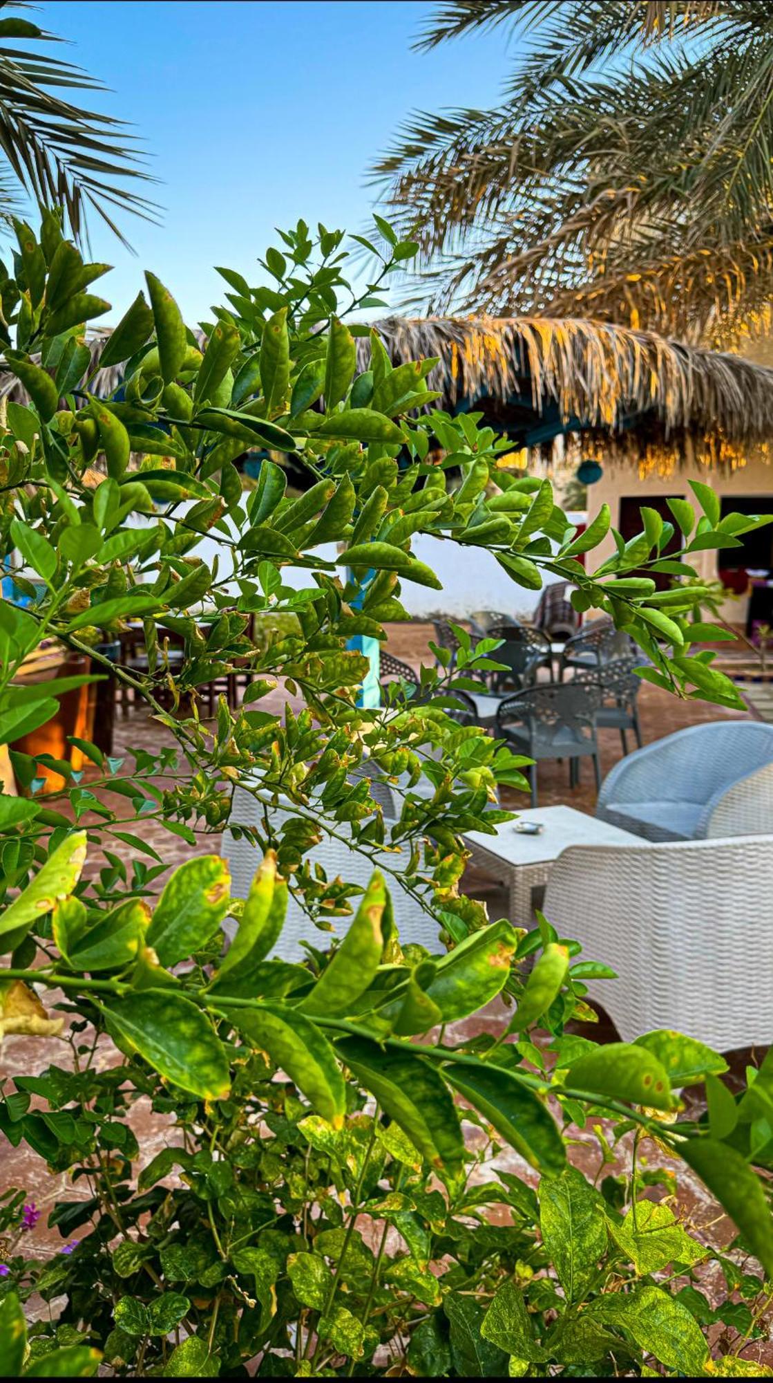 Miramar Camp Dahab Hotel Buitenkant foto