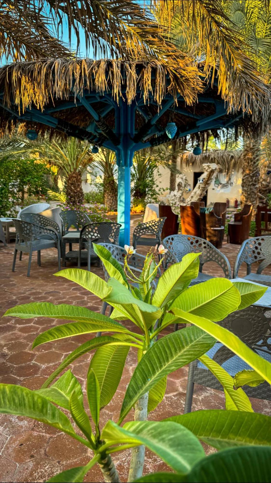 Miramar Camp Dahab Hotel Buitenkant foto