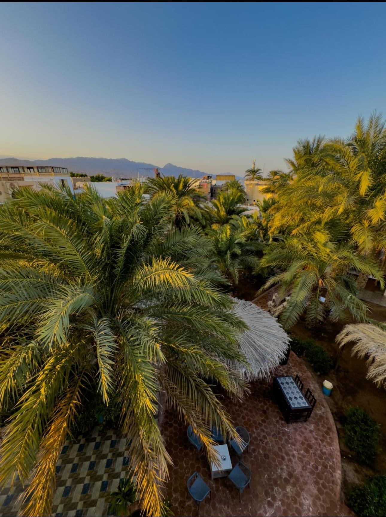 Miramar Camp Dahab Hotel Buitenkant foto