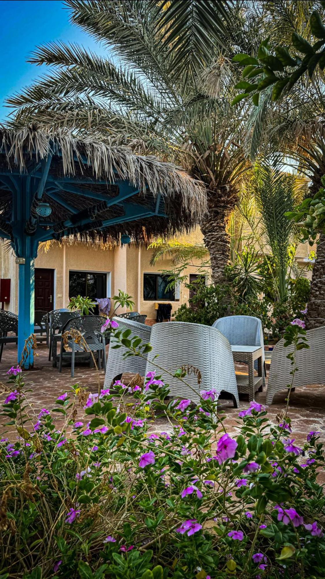 Miramar Camp Dahab Hotel Buitenkant foto