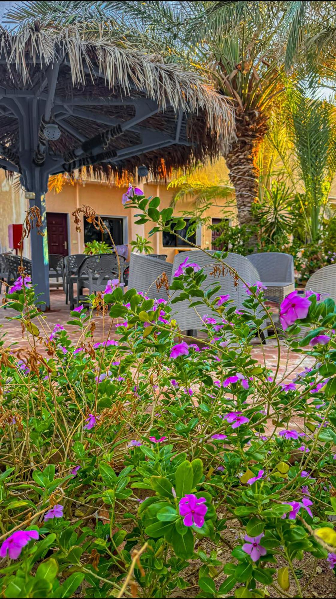 Miramar Camp Dahab Hotel Buitenkant foto