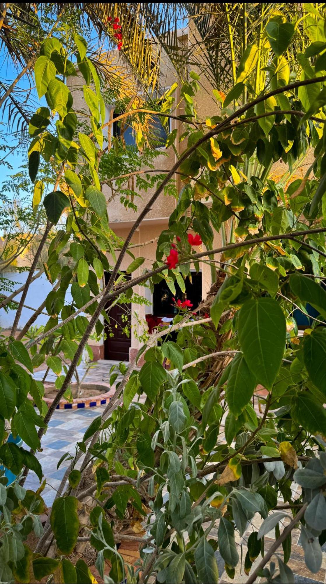 Miramar Camp Dahab Hotel Buitenkant foto
