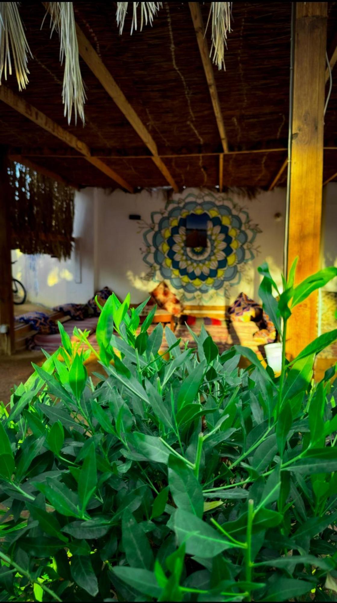 Miramar Camp Dahab Hotel Buitenkant foto