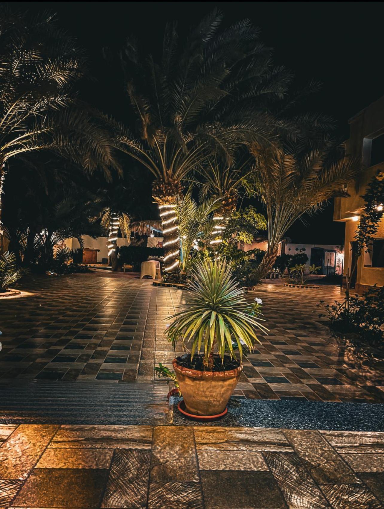 Miramar Camp Dahab Hotel Buitenkant foto