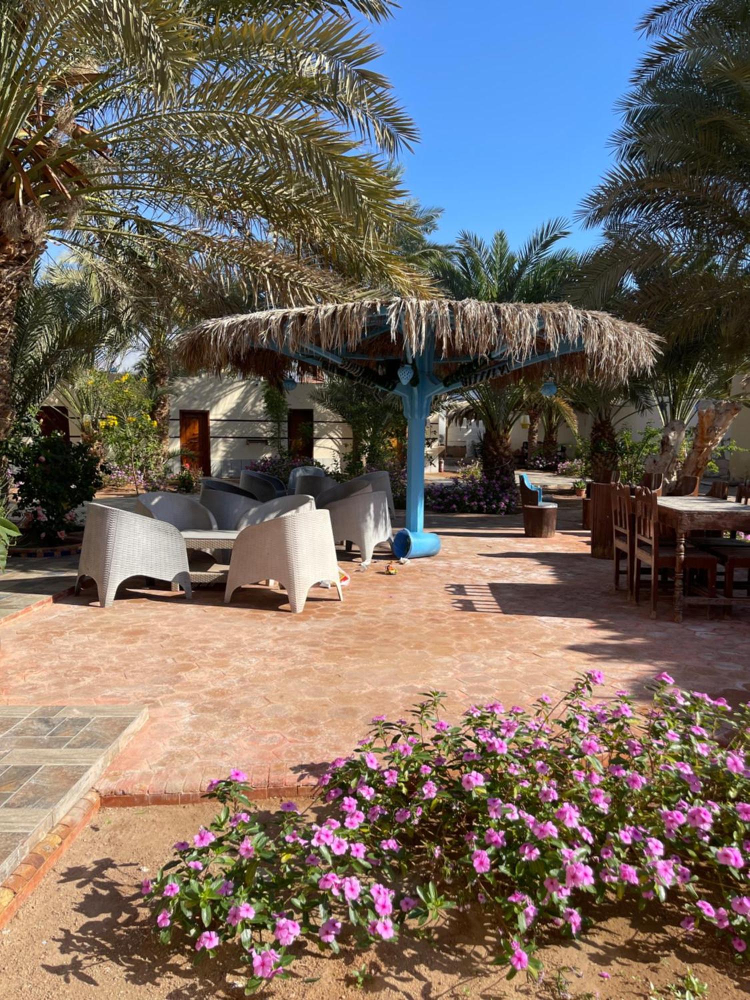 Miramar Camp Dahab Hotel Buitenkant foto