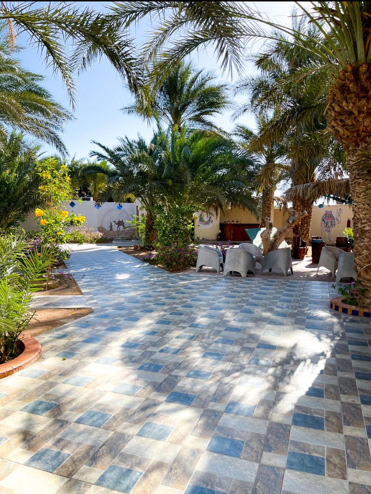 Miramar Camp Dahab Hotel Buitenkant foto